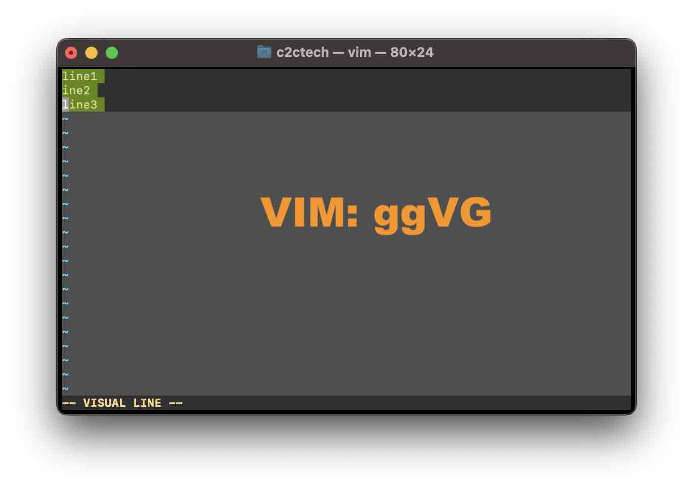 VIM Select All Text